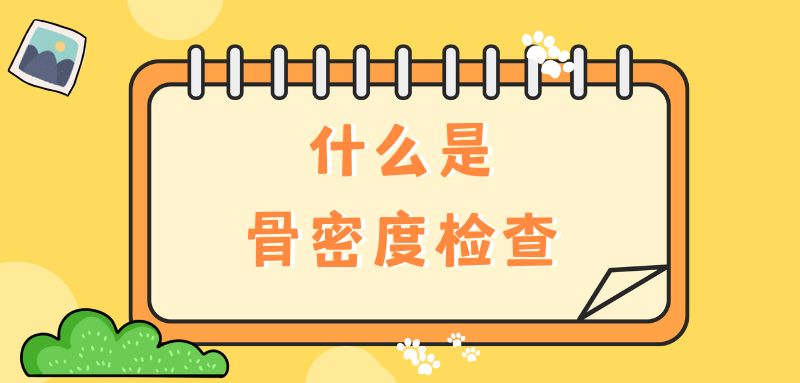 【雙能x線骨密度儀】什么是骨密度檢查？該怎么查？